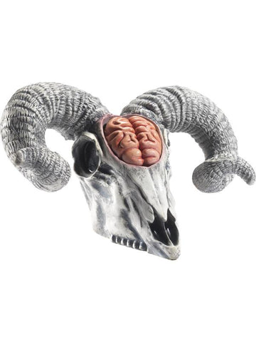 Latex Rams Skull Prop with Exposed Brain