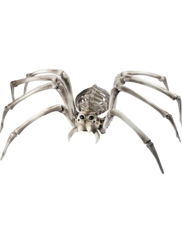 Spider Skeleton Prop